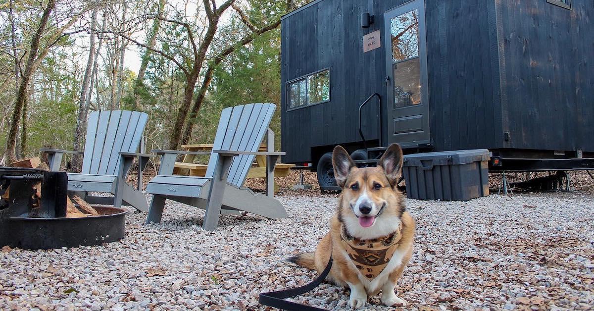 Tips For Finding The Perfect Pet-Friendly Vacation Rental - BringFido