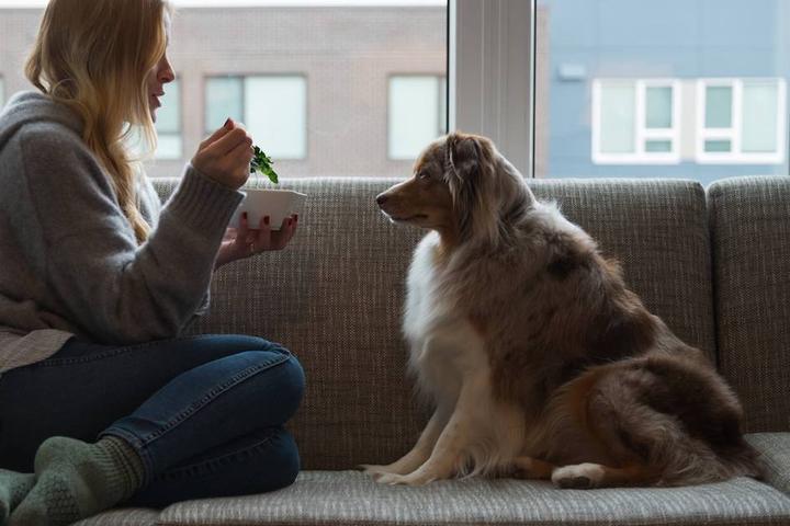 New Pet-Friendly Hotels: March 2022