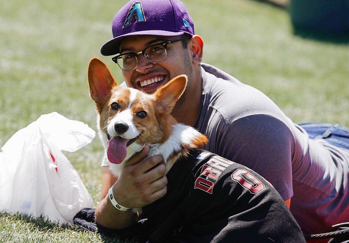 WATCH: Cubs players bring their cute dogs to Spring Training