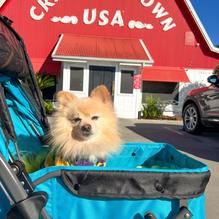 Crawfish Town USA restaurant view 2