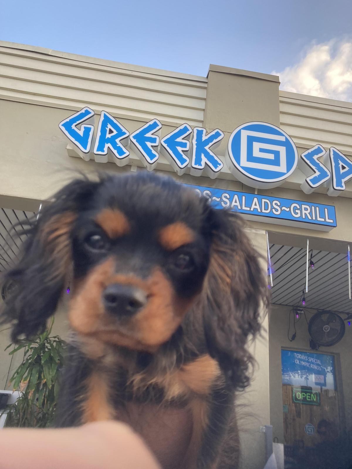 The Greek Spot restaurant view 3