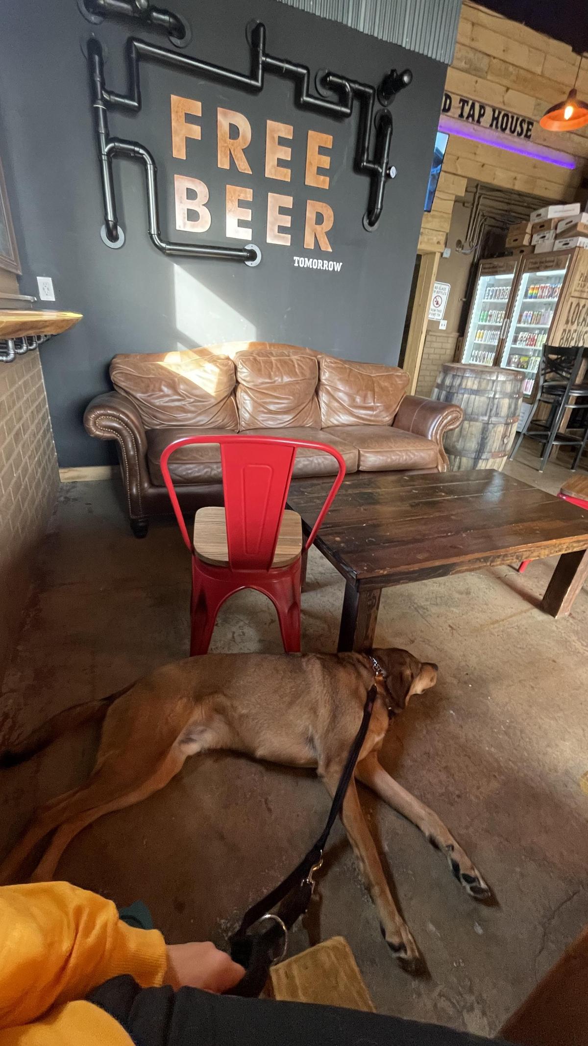 Pine Island Tap House restaurant view 2
