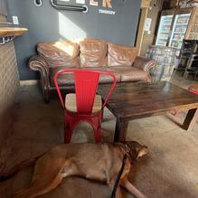 Pine Island Tap House restaurant view 2