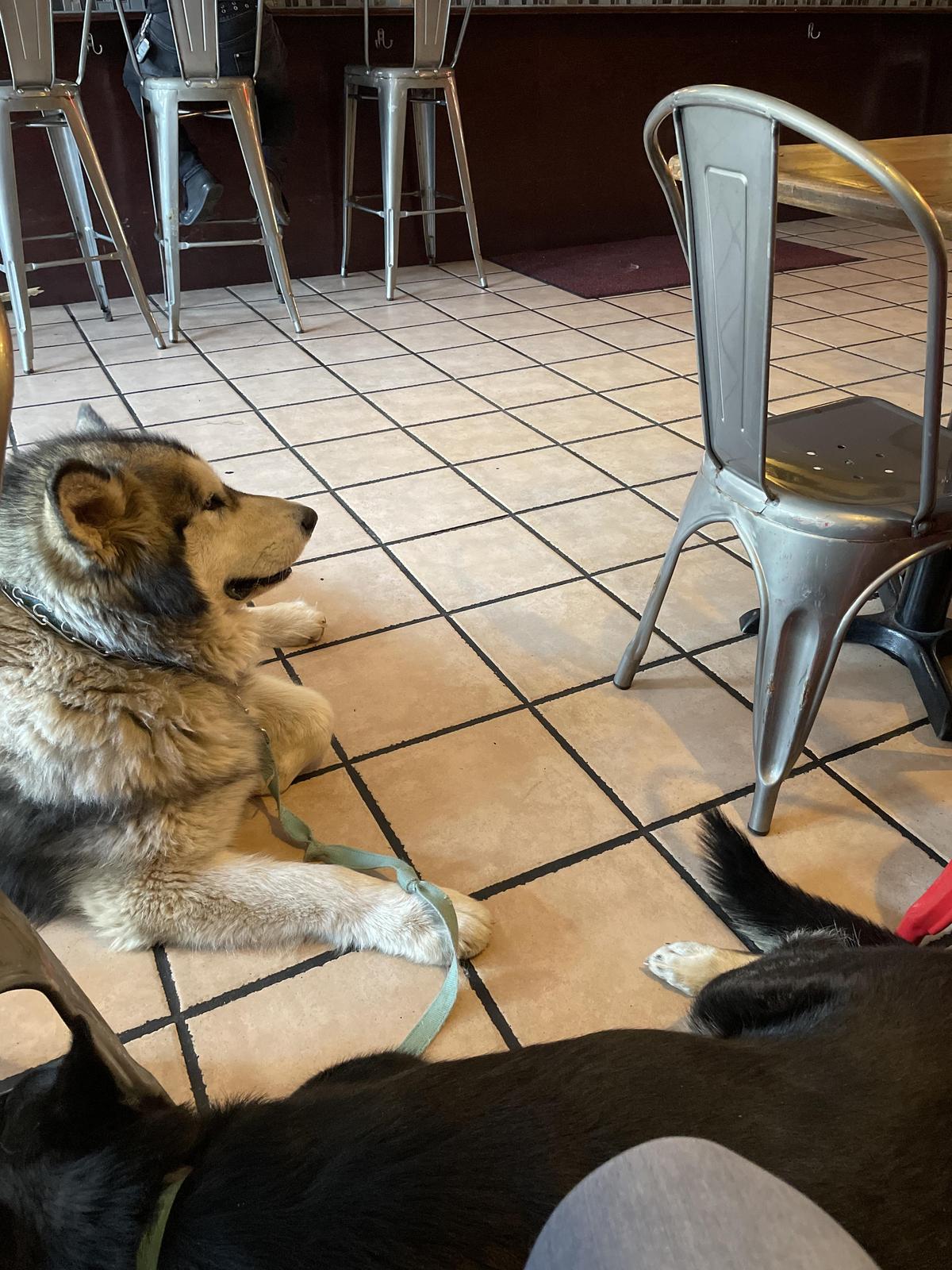 Red Door Brewing Company - Downtown restaurant view 2