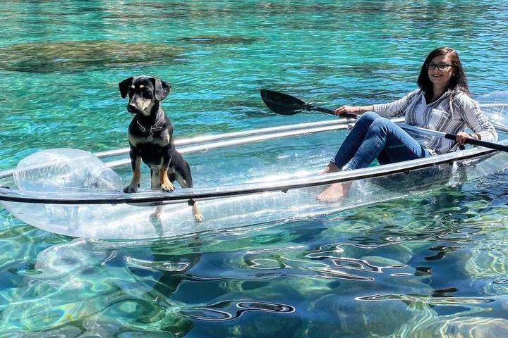 Dog with human paddling at Clearly Tahoe in South Lake Tahoe