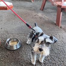 Smokey Joe's restaurant view 5