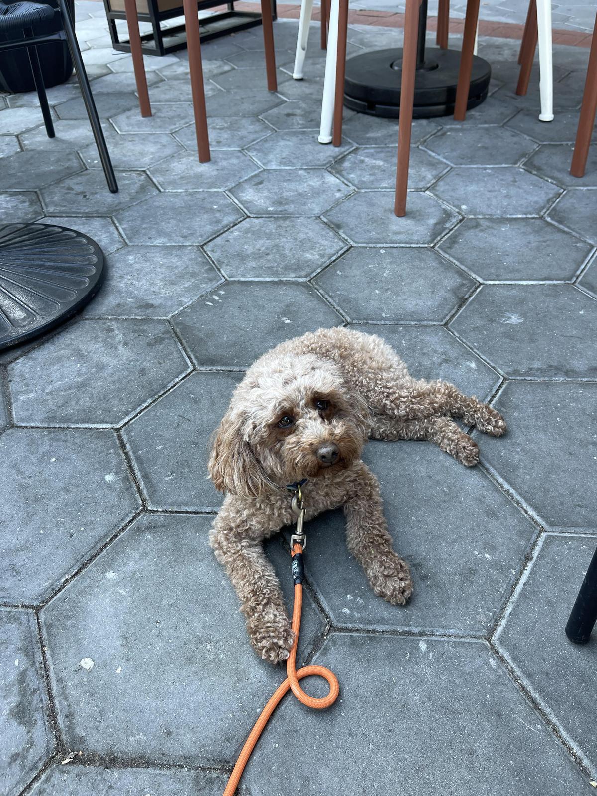 Black and Brew Coffee restaurant view 4