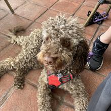 StillWater Spirits & Sounds restaurant view 1