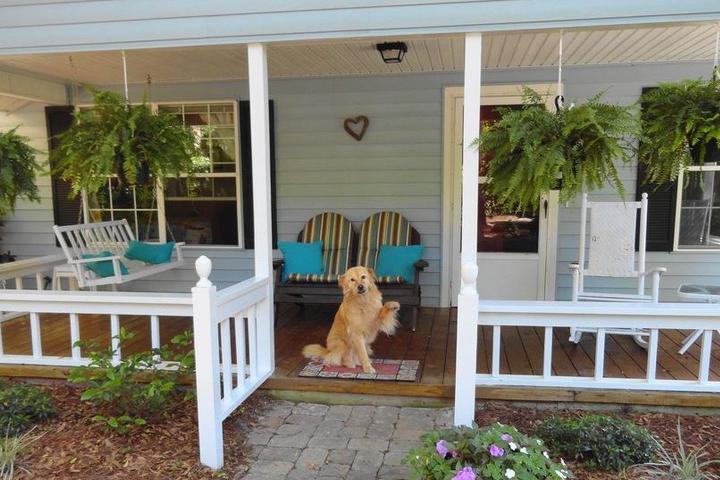 Dog-Friendly Cottage Rentals for Spring Break