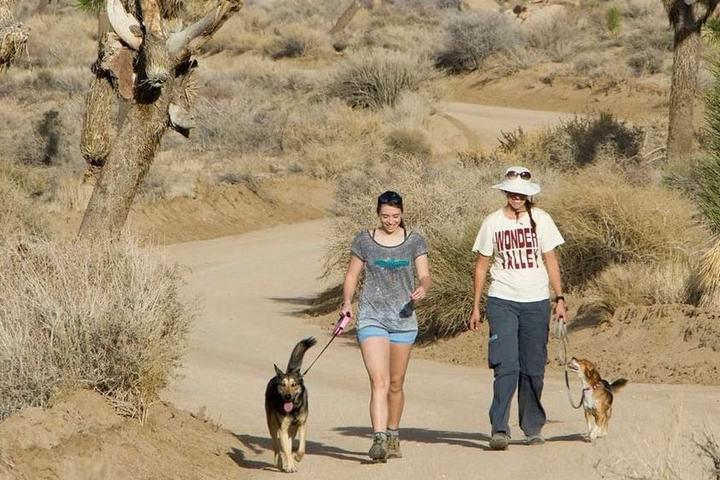 Two dogs with humans taking a walk in the desert