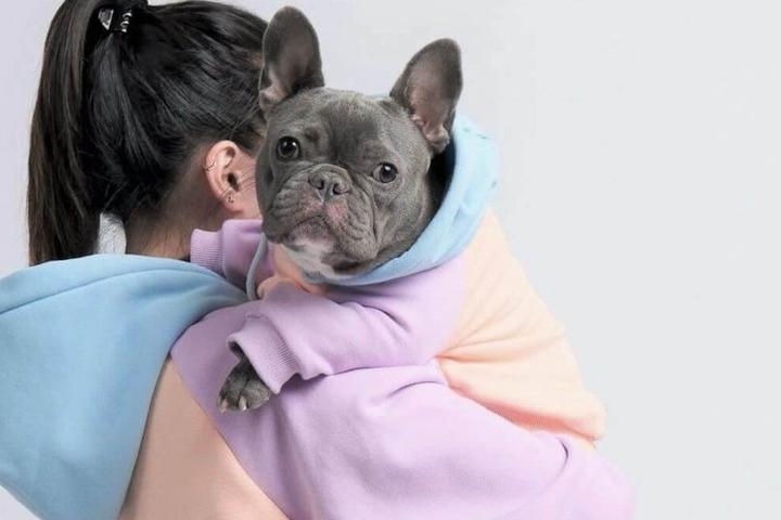 Are you adding any of these items to your dog’s wardrobe this spring?
