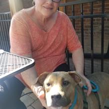 The Brown Bag Bistro restaurant view 3