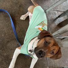 Grain Craft Bar + Kitchen restaurant view 5