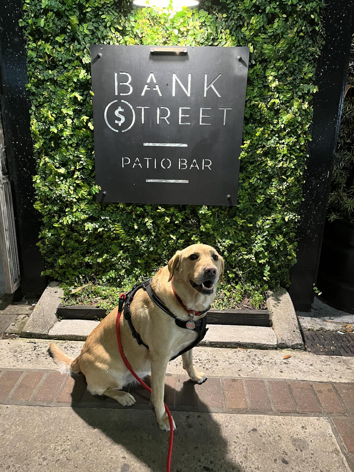 Bank Street Patio Bar restaurant view 3