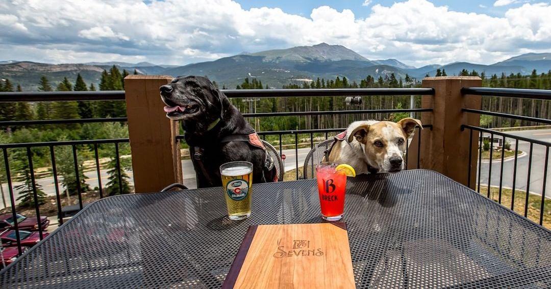 Dog-Friendly Restaurants With a View