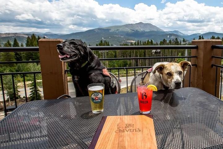 Dog-Friendly Restaurants With a View