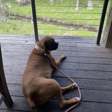 The Chimes restaurant view 1