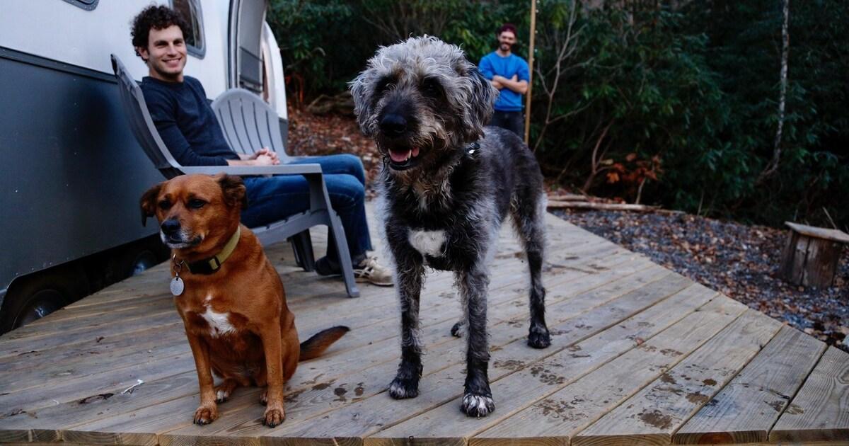 Best Dog-Friendly RV/Camper Airbnb Rental in Every State - BringFido