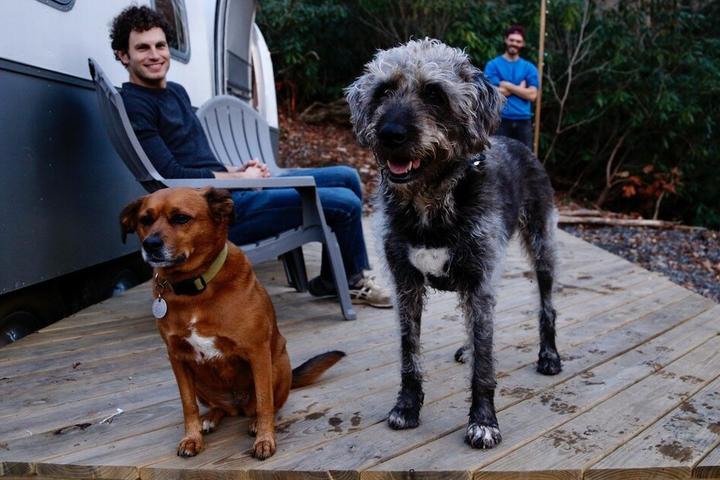 Best Dog-Friendly RV/Camper Airbnb Rental in Every State