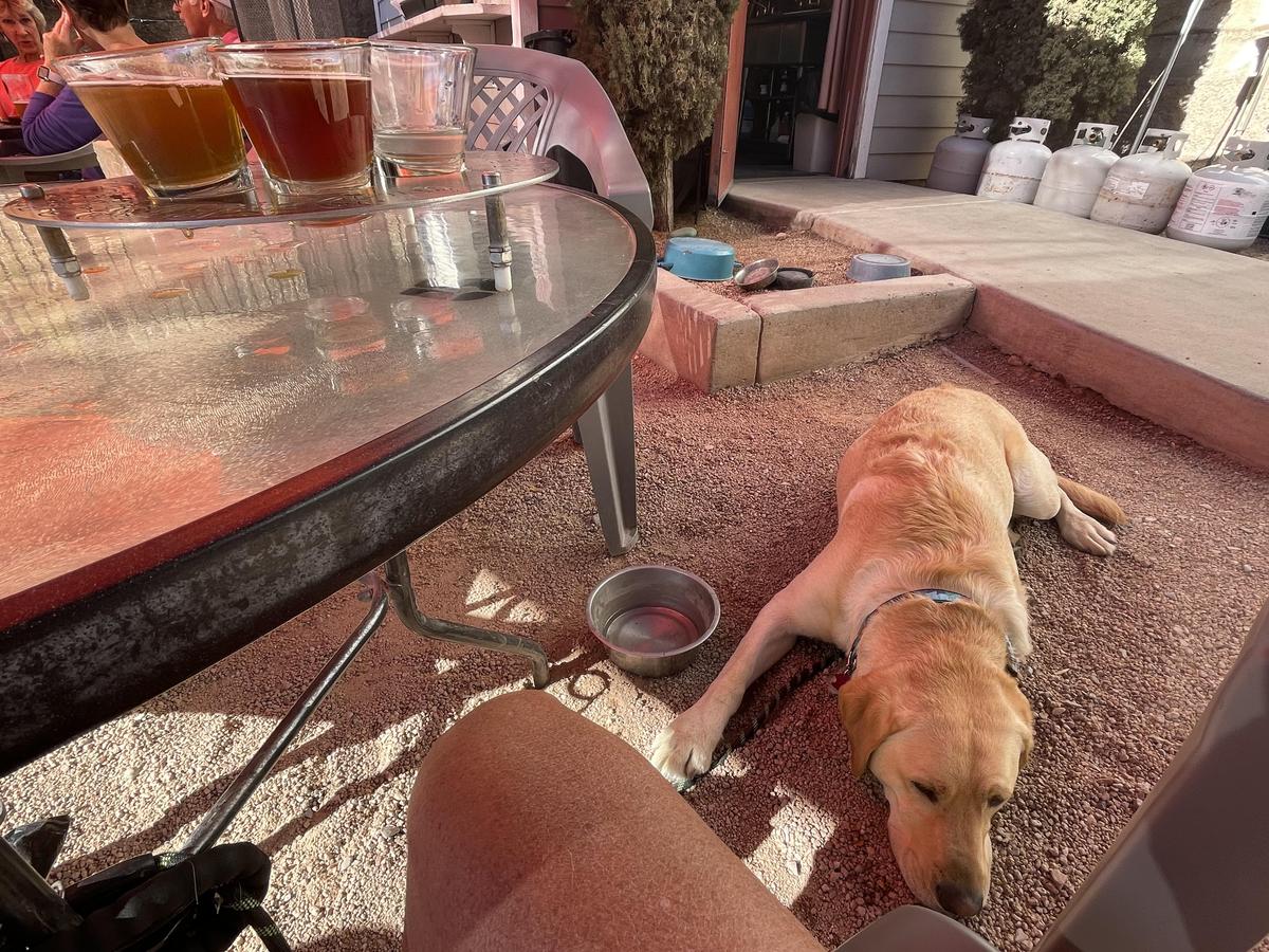 Old Bisbee Brewing Company restaurant view 3