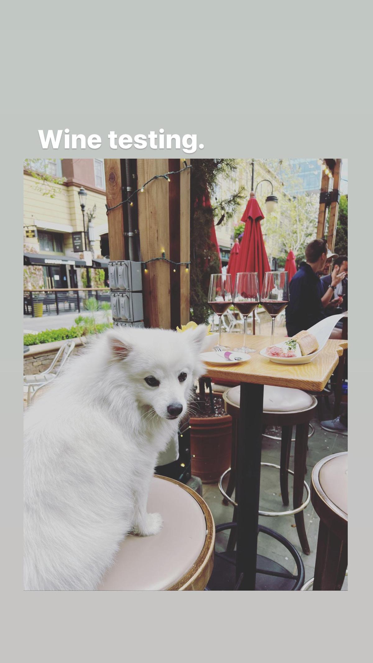 Vintage Wine Bar restaurant view 1