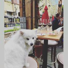 Vintage Wine Bar restaurant view 1