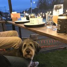 Field House Brewing Co. restaurant view 3