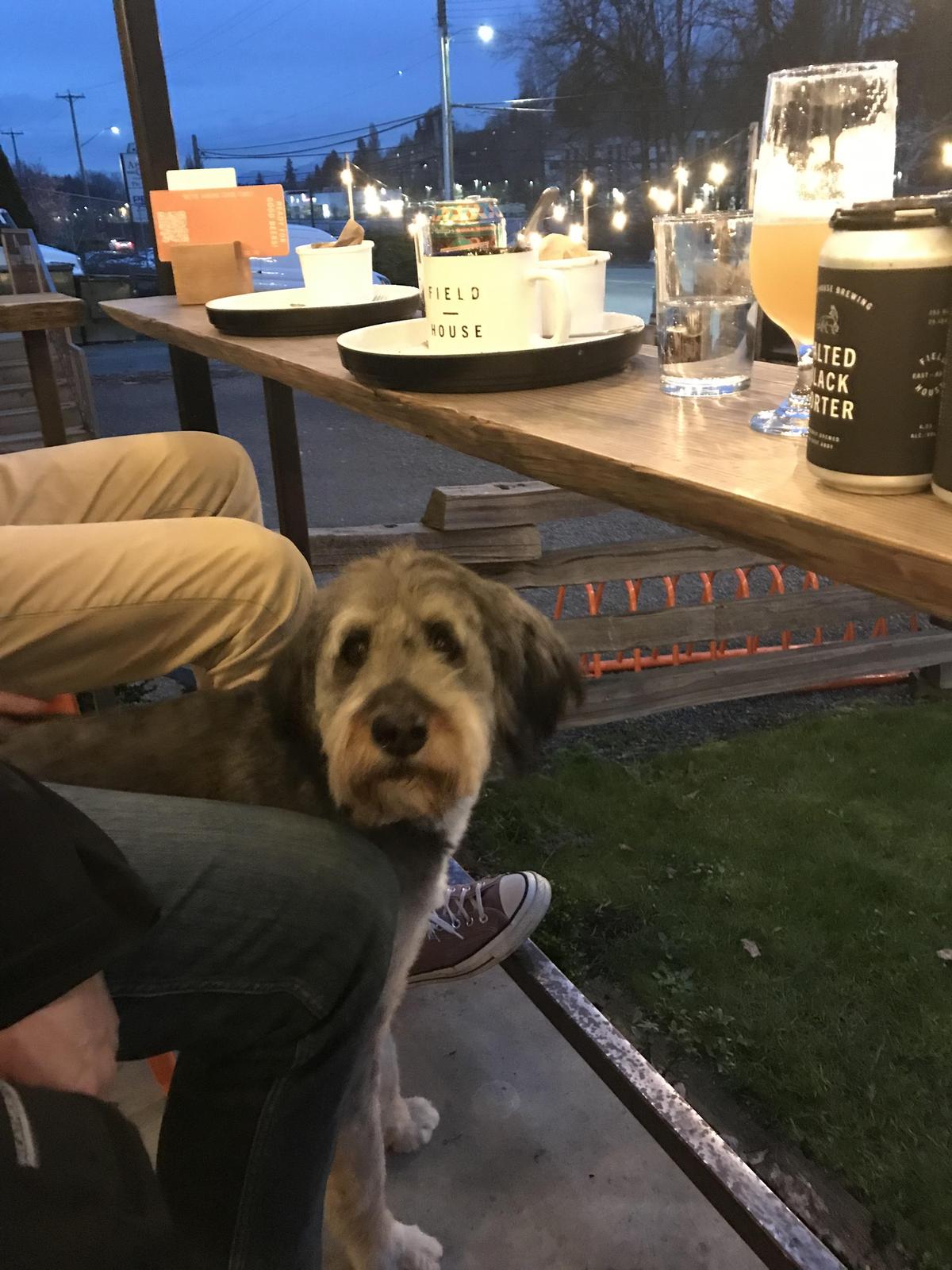 Field House Brewing Co. restaurant view 2