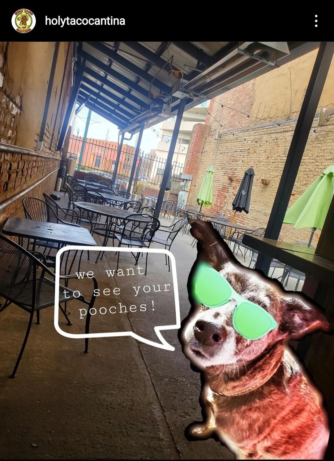 Holy Taco & Cantina restaurant view 1