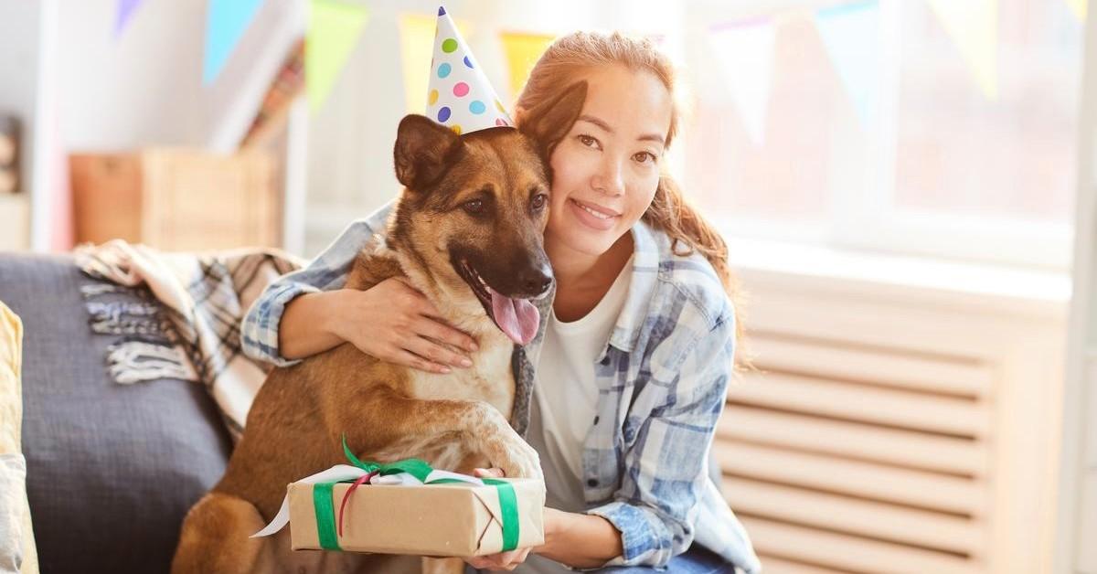 10 Ways to Celebrate Your Dog's Gotcha Day