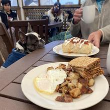 GoodLife Cafe and Bakery restaurant view 3