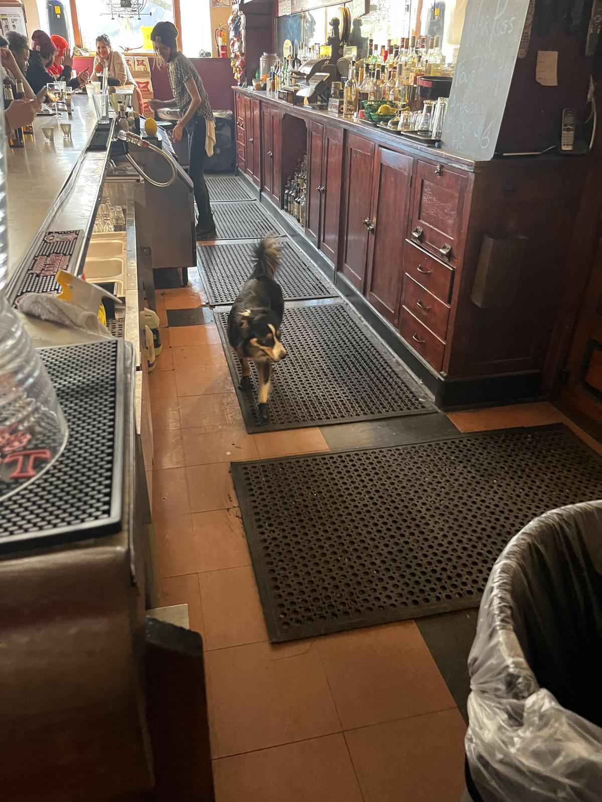 Archie's Iowa & Rockwell Tavern restaurant view 1