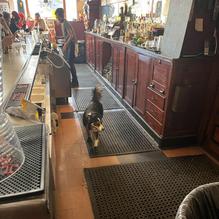 Archie's Iowa & Rockwell Tavern restaurant view 1