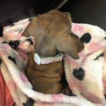 Slim Chickens restaurant view 1