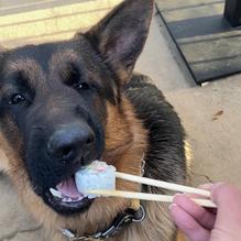 RA Sushi Bar Restaurant restaurant view 1