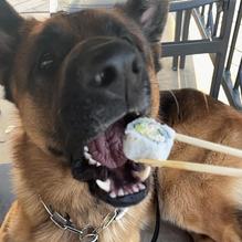 RA Sushi Bar Restaurant restaurant view 2