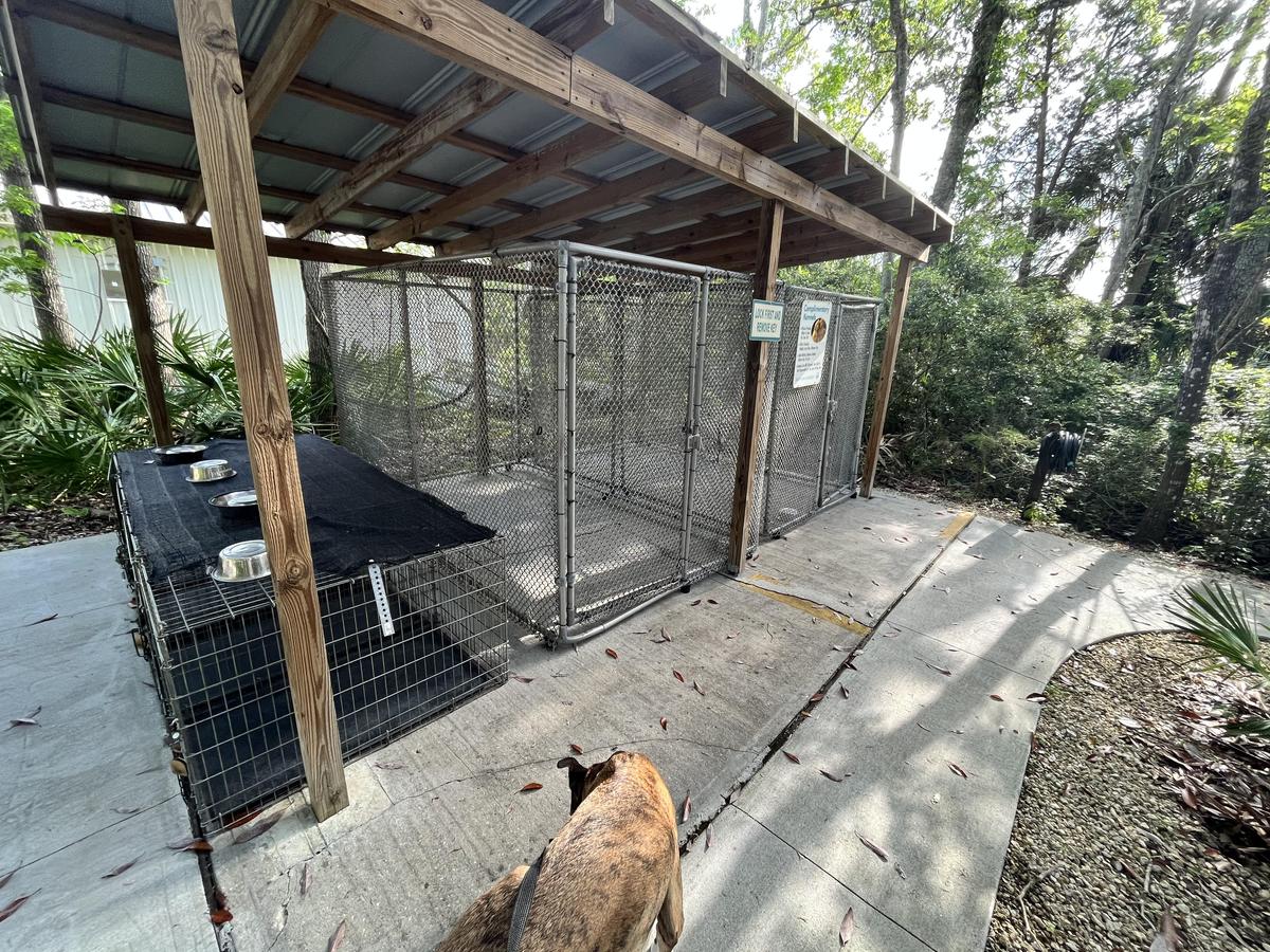 Bowwag kennels store