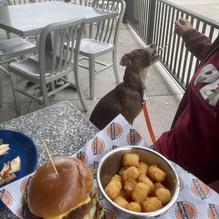 Bad Daddy's Burger Bar Chattanooga restaurant view 6