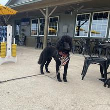 Aero Crafters restaurant view 3