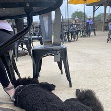 Aero Crafters restaurant view 1