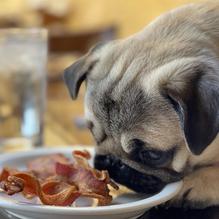 The Twins Restaurant restaurant view 1