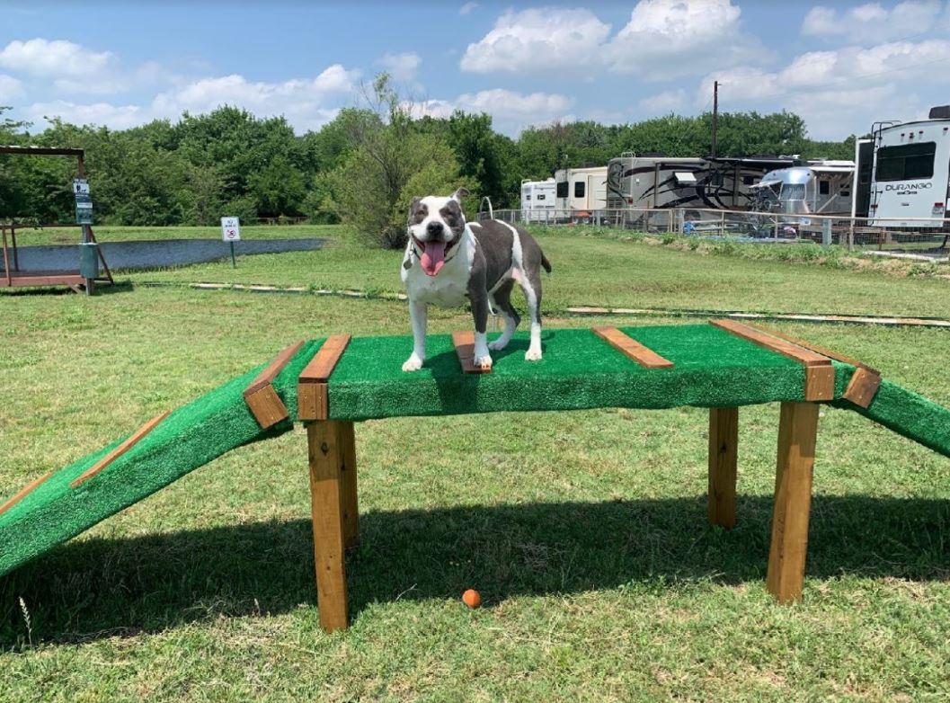 Dog Island Playground System