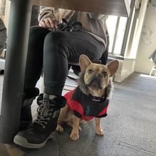 Rocker restaurant view 1