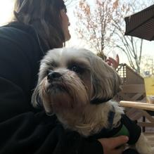 Brady's at the Station restaurant view 1