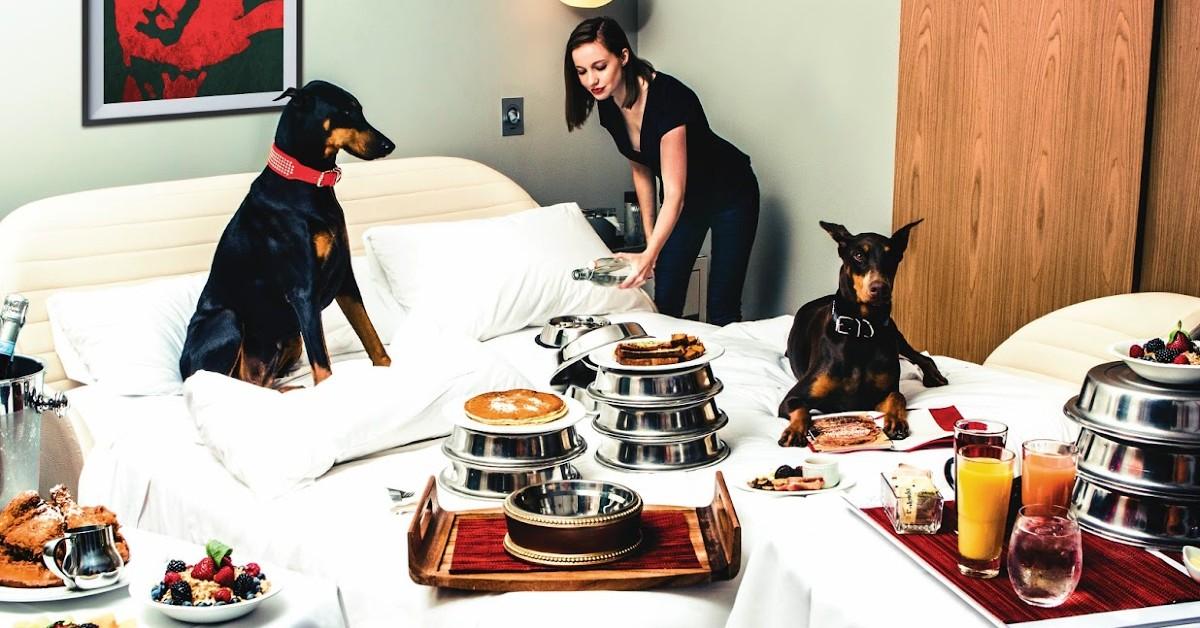 Pet Friendly Plate - Pet Friendly Services