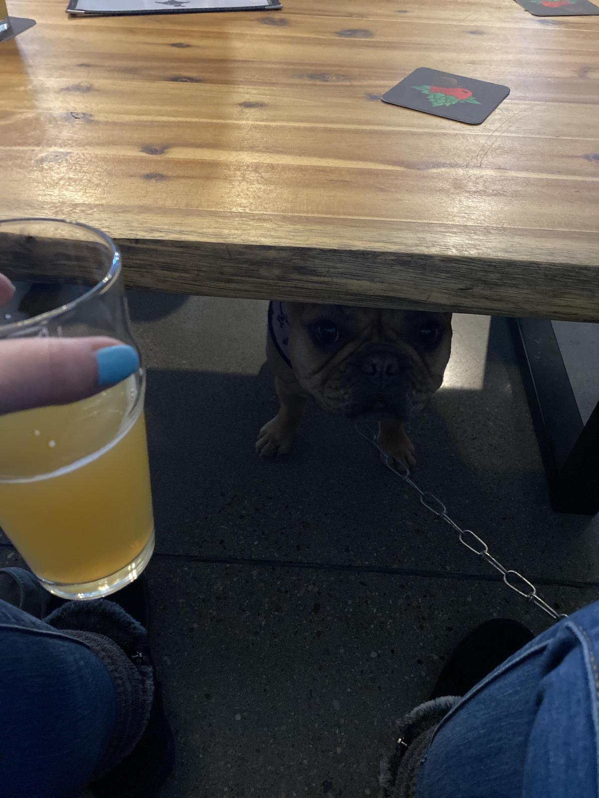 Good Apple Taphouse restaurant view 1