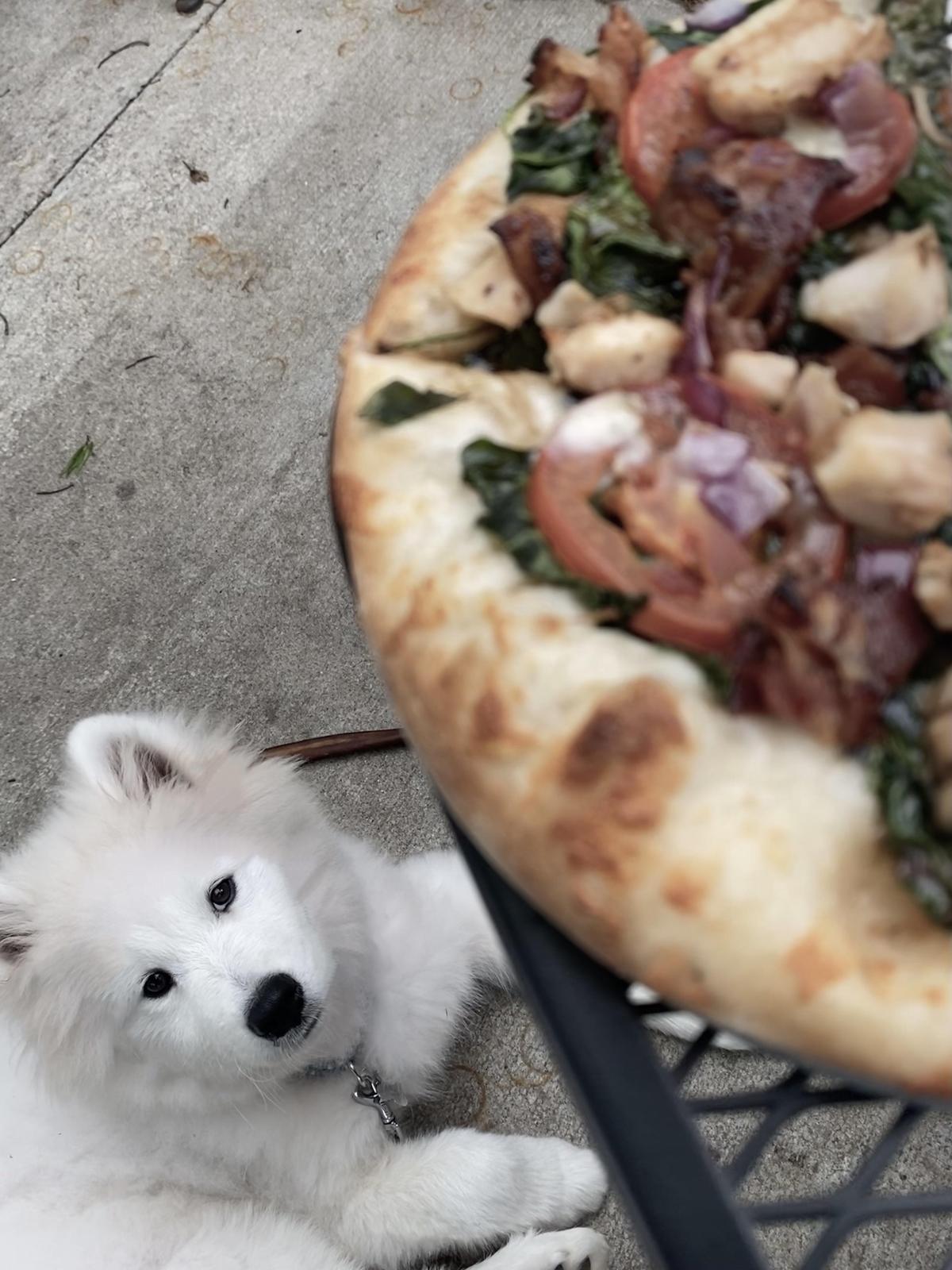 Plank Road Pizza restaurant view 2
