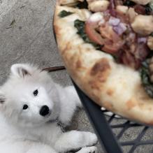 Plank Road Pizza restaurant view 2