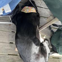 The Waterwheel Cafe restaurant view 1