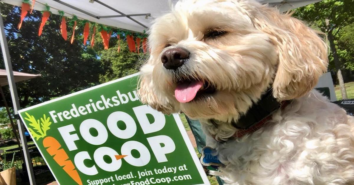 A happy dog by the sign for pet-friendly Fredericksburg Farmers Market